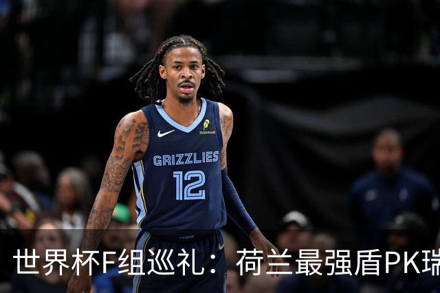 世界杯F组巡礼：荷兰最强盾PK瑞典犀利刀 日本短板明显